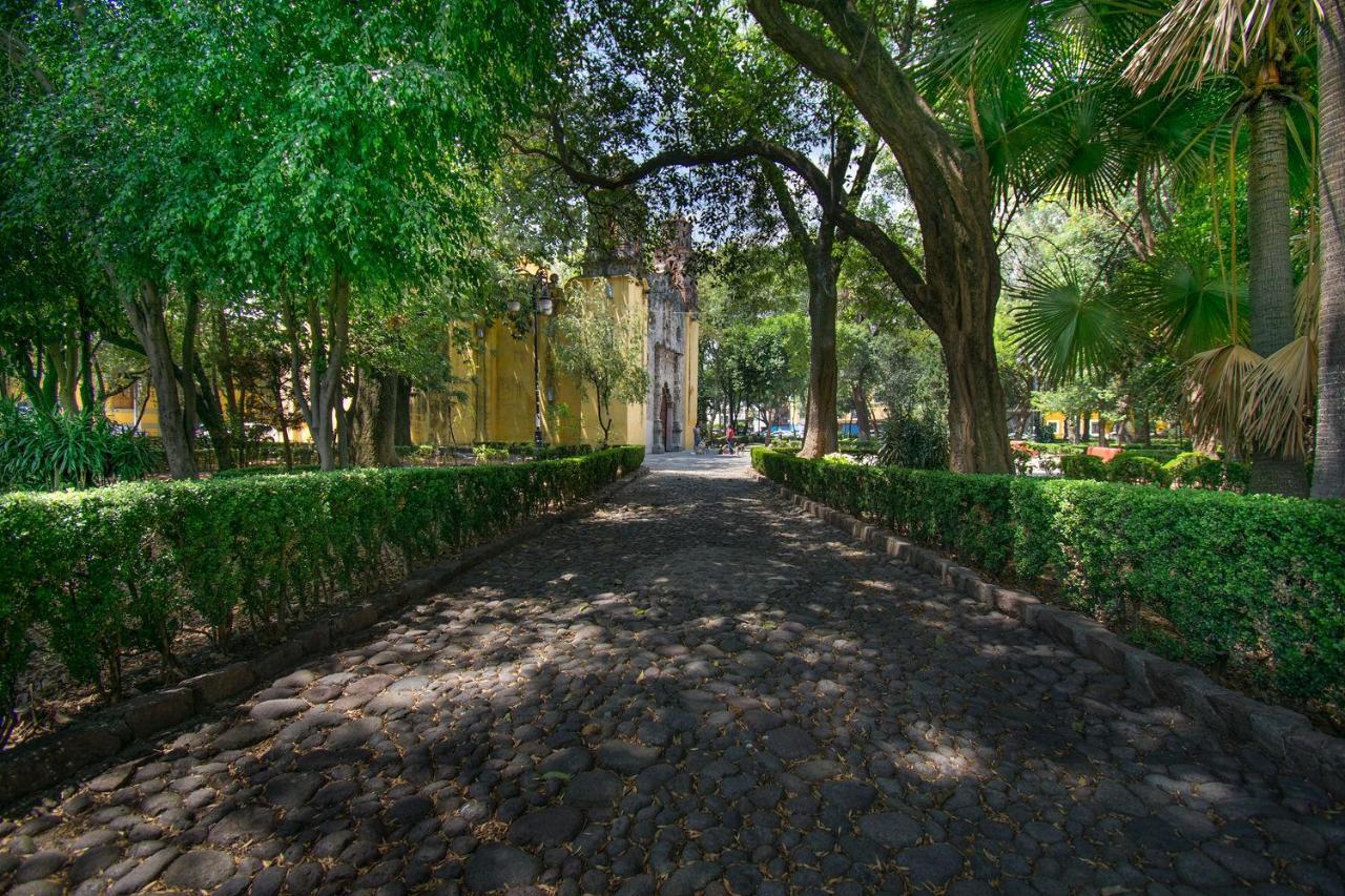 Ferienwohnung Fl 59 Coyoacan At Your Doorstep! Mexiko-Stadt Exterior foto